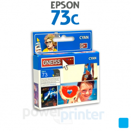 Cartucho de tinta Epson 73C...
